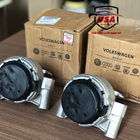 Cao su Chân Máy Audi A6 - 4G0199381PM - 4G0199381PL 