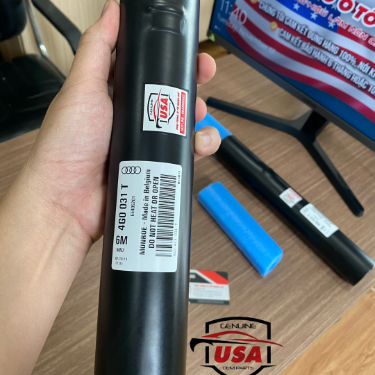 Phuộc nhúng trước  Audi A6 - 4G0413031T