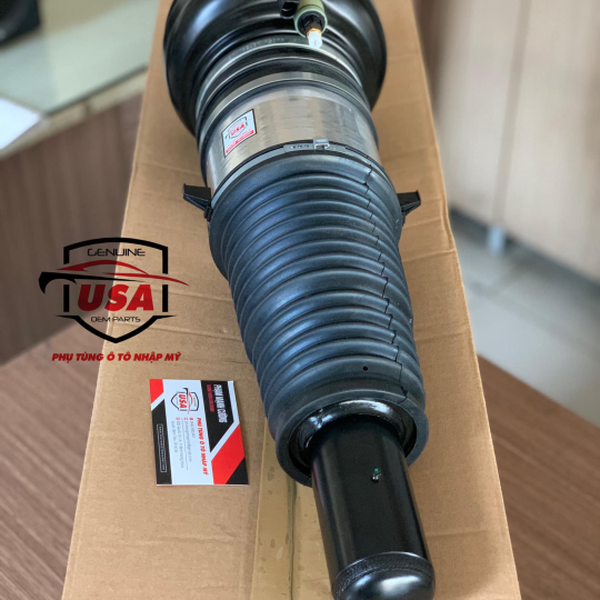 Phuộc nhúng trước  Audi A8 - 4H0616039AP