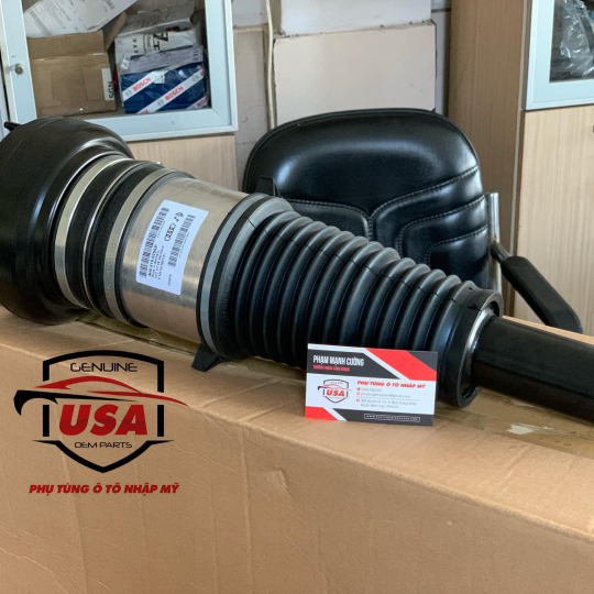 Phuộc nhúng trước  Audi A8 - 4H0616039AP
