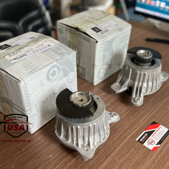 Cao su chân máy Mercedes C250 , C300 - A2052400200    -  A2052400300