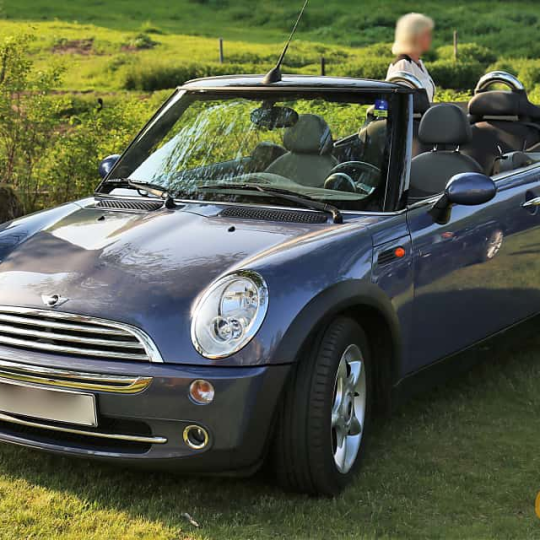 Quạt giải nhiệt động cơ Mini Cooper Convertible R52 - 17117541092 