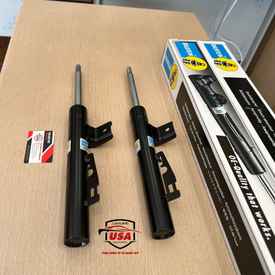 Phuộc  nhúng trước Mercedes Smart Fortwo 