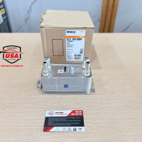 Bầu hơi sau  Arnott USA Porsche Paramera 970  