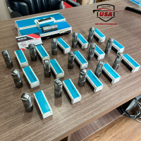 Bầu hơi sau  Arnott USA Porsche Paramera 970  